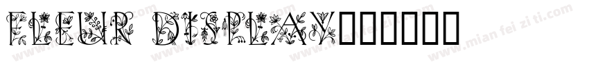 Fleur Display字体转换